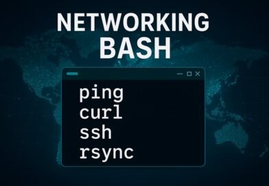 Networking in Bash: Essential Commands for Connectivity and File Transfer