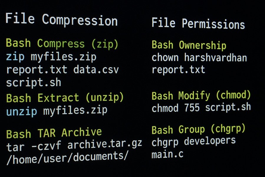 File Compression and File Permissions in Bash: A Complete Guide for ...