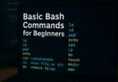 Basic Bash Commands Explained for Beginners (with Examples)